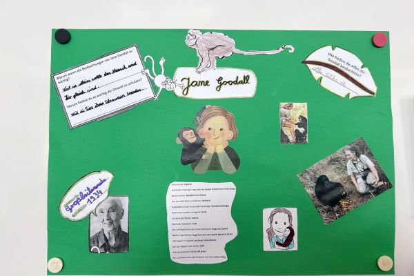 Plakat zu Jane Godall