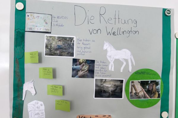 Plakat, Jane Godall rettet Pferd Wellington